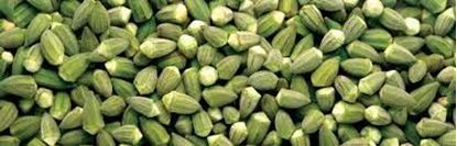 Picture of IQF Frozen Okra