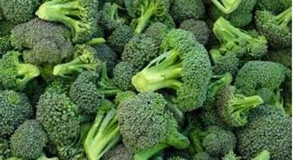 Picture of Egyptian broccoli a ton from Green Vision