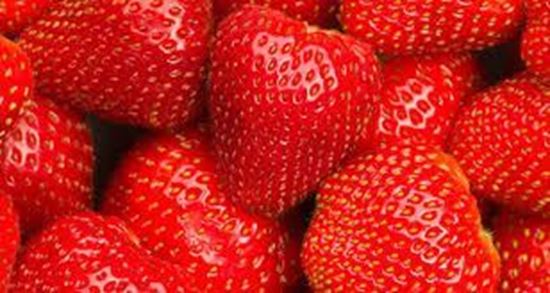Picture of Tons of Egyptian strawberries from Green Vision