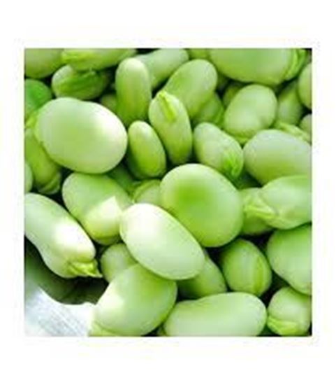 Picture of IQF frozen Fava beans